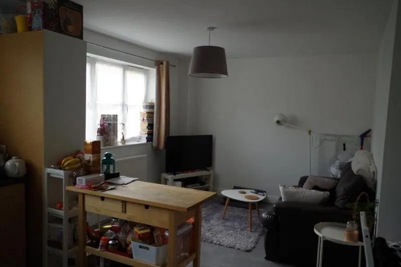 Bright, Chilled Ensuite Db Room In A Shared Flat! 伦敦 民宿